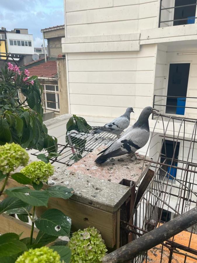 Central Apartment Kadikoy Terrace Bbq Close 2 Block Ferry Bull Metro Nighlife Provincia di Provincia di Istanbul Esterno foto